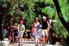 Apartments Lanterna Rabac 